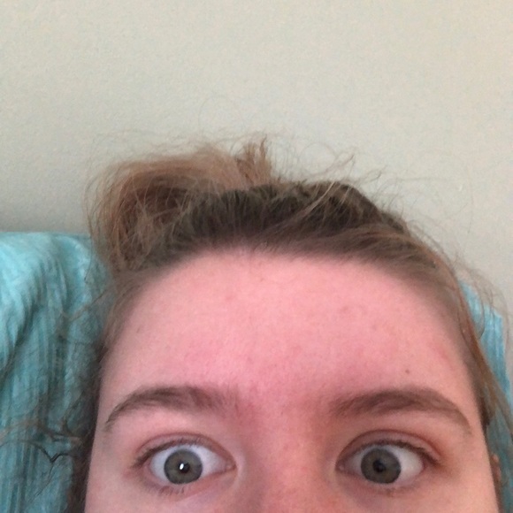 Meet your Posher, Abby - Picture 1 of 1